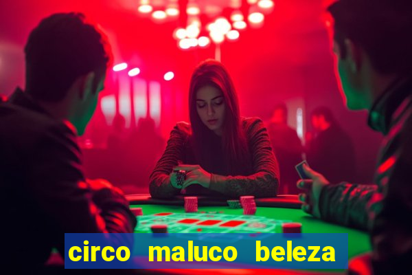 circo maluco beleza recife circo maluco